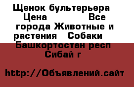 Щенок бультерьера › Цена ­ 35 000 - Все города Животные и растения » Собаки   . Башкортостан респ.,Сибай г.